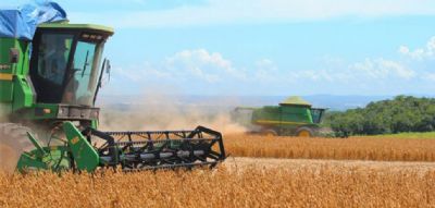 Superavit do agroneg�cio atinge US$ 8,12 bilh�es, segundo melhor resultado hist�rico para junho