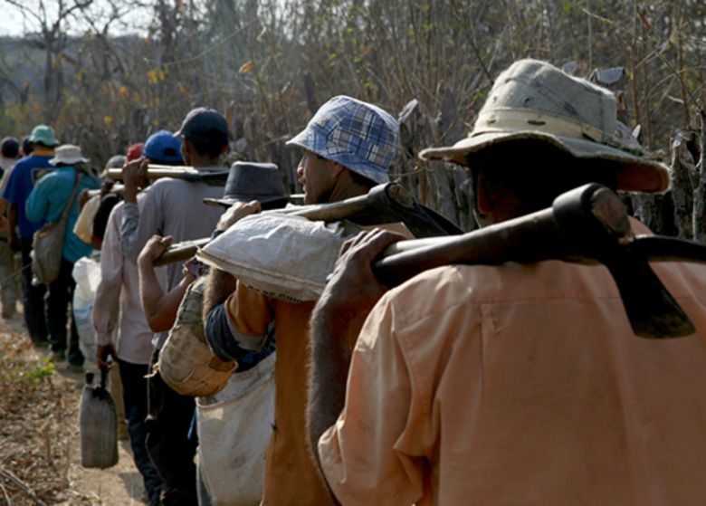 N� de opera��es contra trabalho escravo cai 23,5% em 1 ano; total de resgatados � o menor desde 1998