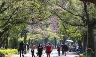Elei��es 2020 Plataformas orientam eleitores e prefeitos sobre agenda ambiental