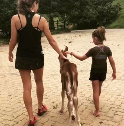 Grazi Massafera curte fazenda com a filha e f�s babam: 
