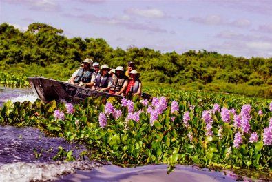 Com 80% preservado, turistas visitam Pantanal