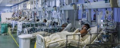 Brasil registra a maior m�dia m�vel de casos da doen�a