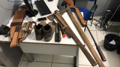 ​Pol�cia Civil prende integrantes de quadrilha de furto de gado em Barra do Gar�as