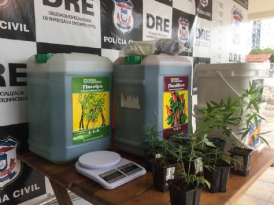 ​Traficante � preso por cultivar maconha em apartamento de classe m�dia alta em Cuiab�