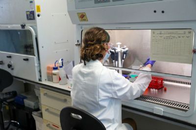 Cientista � frente de vacina cogita entrega em 2020