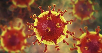 MT tem 125 mortes por Covid-19 nas �ltimas 24 horas; n�mero � o mais alto desde o in�cio da pandemia