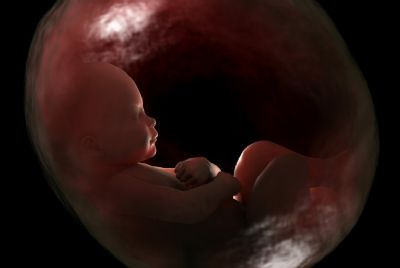 Cientistas identificam micropl�stico na placenta de mulheres gr�vidas