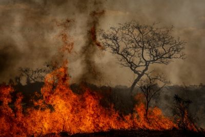 Brasil registrou mais de 68 mil focos de queimadas em agosto