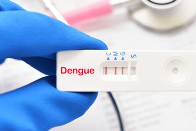 Minist�rio da Sa�de anuncia distribui��o de 6,5 milh�es de testes r�pidos para dengue