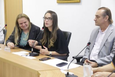 CST de combate � viol�ncia contra mulher define hoje cronograma dos trabalhos