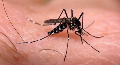 MT tem maior n�mero de mortes por dengue em 14 anos