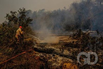 Focos de inc�ndio est�o concentrados no sul do Pantanal