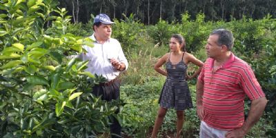 Cr�dito de cooperativa financeira ajuda associada a manter renda durante a pandemia