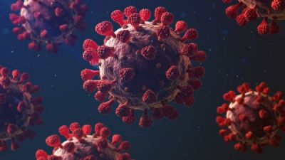 Brasil tem primeiro caso confirmado de reinfec��o pelo coronav�rus