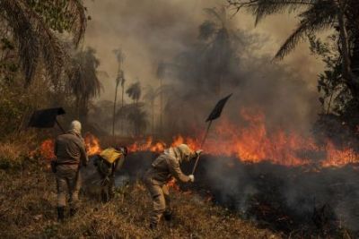 Inc�ndios j� consumiram quase 10% da �rea do Pantanal em MT