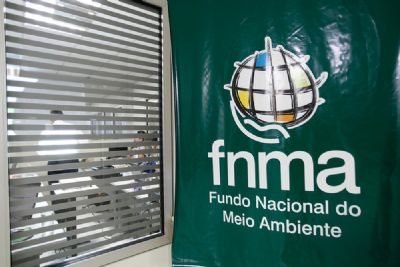 Bolsonaro exclui participa��o da sociedade civil de conselho do Fundo Nacional do Meio Ambiente