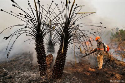 Queimadas no Pantanal j� superam em 16 dias todos os setembros; s�o 5,6 mil focos