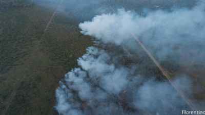 Fogo j� consumiu 5% de todo o Pantanal em MT na pior seca dos �ltimos 30 anos
