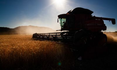 Ind�stria prev� alta de 10% na venda de m�quinas agr�colas em 2020