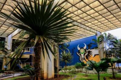 Governo j� pagou R$ 2,2 bilh�es em 2020 aos aposentados e pensionistas