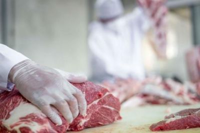 Empres�rios reclamam que JBS dificulta venda de carnes durante a pandemia
