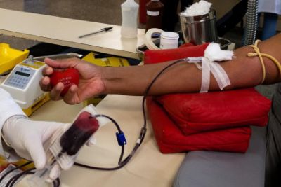 Hemocentro faz campanha e usa �nibus para coleta de sangue