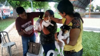 Sa�de faz refor�o de vacina��o antirr�bica na zona rural e promove mais um Dia �D� na cidade