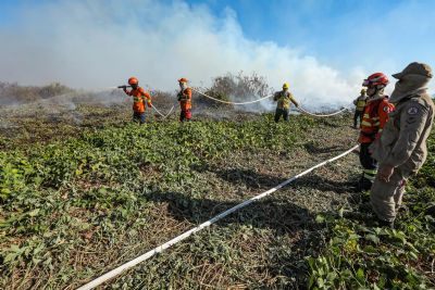 L�der em inc�ndios, MT usa s� 13% dos bombeiros na �guerra�