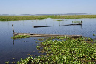 AL deve instaurar CPI do Pantanal