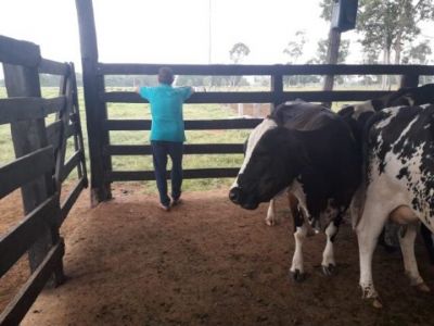 Produtores de leite mant�m greve pelo 5� dia