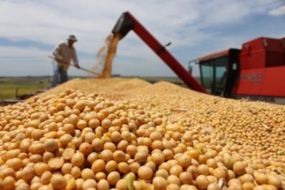 Etanol de mela�o de soja pode ocupar usina na entressafra, com 280 l/t e 40% de a��car, e gerar mais valor na cadeia do gr�o