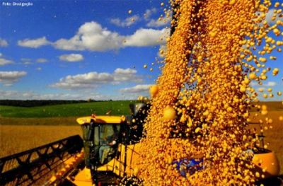 35% dos empregos v�m do agroneg�cio