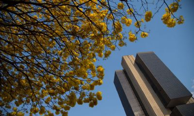 BC avaliar� em duas semanas impacto do coronav�rus sobre infla��o