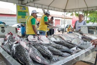 Peixe Santo ser� em sistema de drive thru e ser� cobrado o valor de R$ 15,90 o quilo