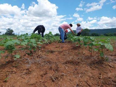 MP apura falha do Incra em cumprir lei ambiental em projeto de assentamento