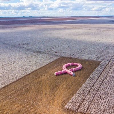 Produtor americano faz homenagem � irm� v�tima de c�ncer e d� origem a campanha no Brasil