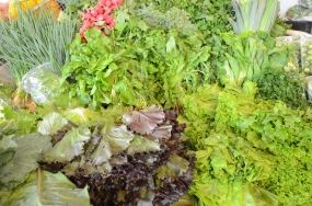 Semin�rio incentiva e orienta pequenos agricultores de Cuiab�