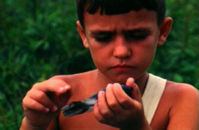 Cine Teatro exibe filmes de Amauri Tangar� a partir de ter�a-feira