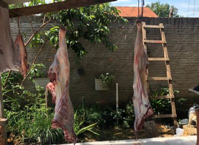 Pol�cia Civil desarticula grupo envolvido com furto e abate de gado em Barra do Gar�as