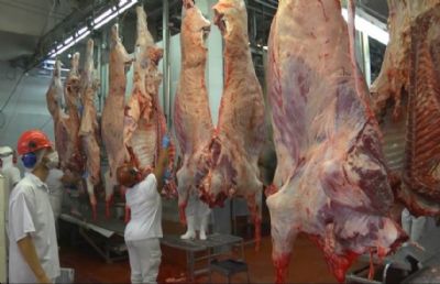 ​Recorde de abates de bovinos faz frigor�ficos de Mato Grosso trabalharem com 68% da capacidade