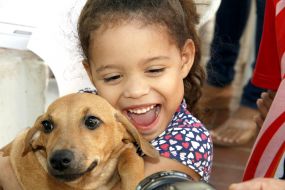 Mais de 30 bichinhos aguardam por ado��o respons�vel neste Natal