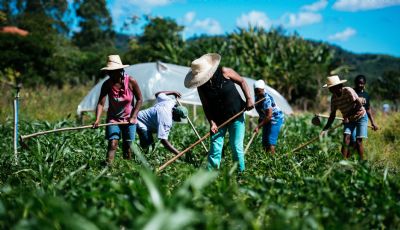 Cresce n�mero de agricultores com acesso ao seguro rural