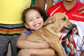 Ado��es triplicam e resgates de gatos e cachorros dobram em 2019