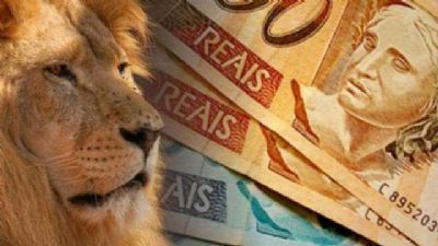 ​Imposto de Renda 2019: evite os principais erros na hora de declarar