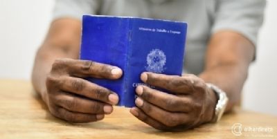 Mato Grosso � o estado que mais teve pessoas empregadas na pandemia