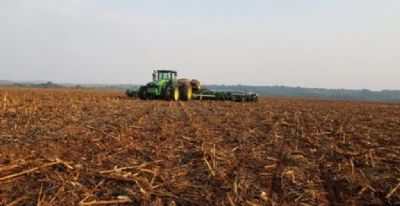 ​Relat�rio Indica desafios clim�ticos para o plantio de soja e milho