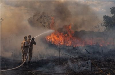 Brigada Volunt�ria de Combate a Inc�ndios na Zona Rural ser� implementada em Chapada