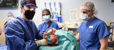 Em transplante in�dito, homem recebe cora��o de porco