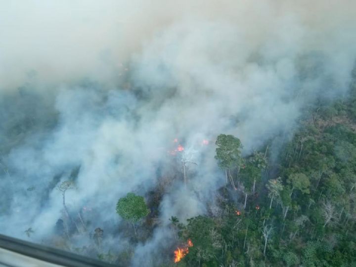 5 equipes dos Bombeiros combatem fogo no Parque Cristalino II