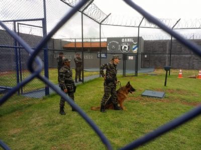Mato Grosso regulamenta uso de c�es como refor�o na seguran�a penitenci�ria